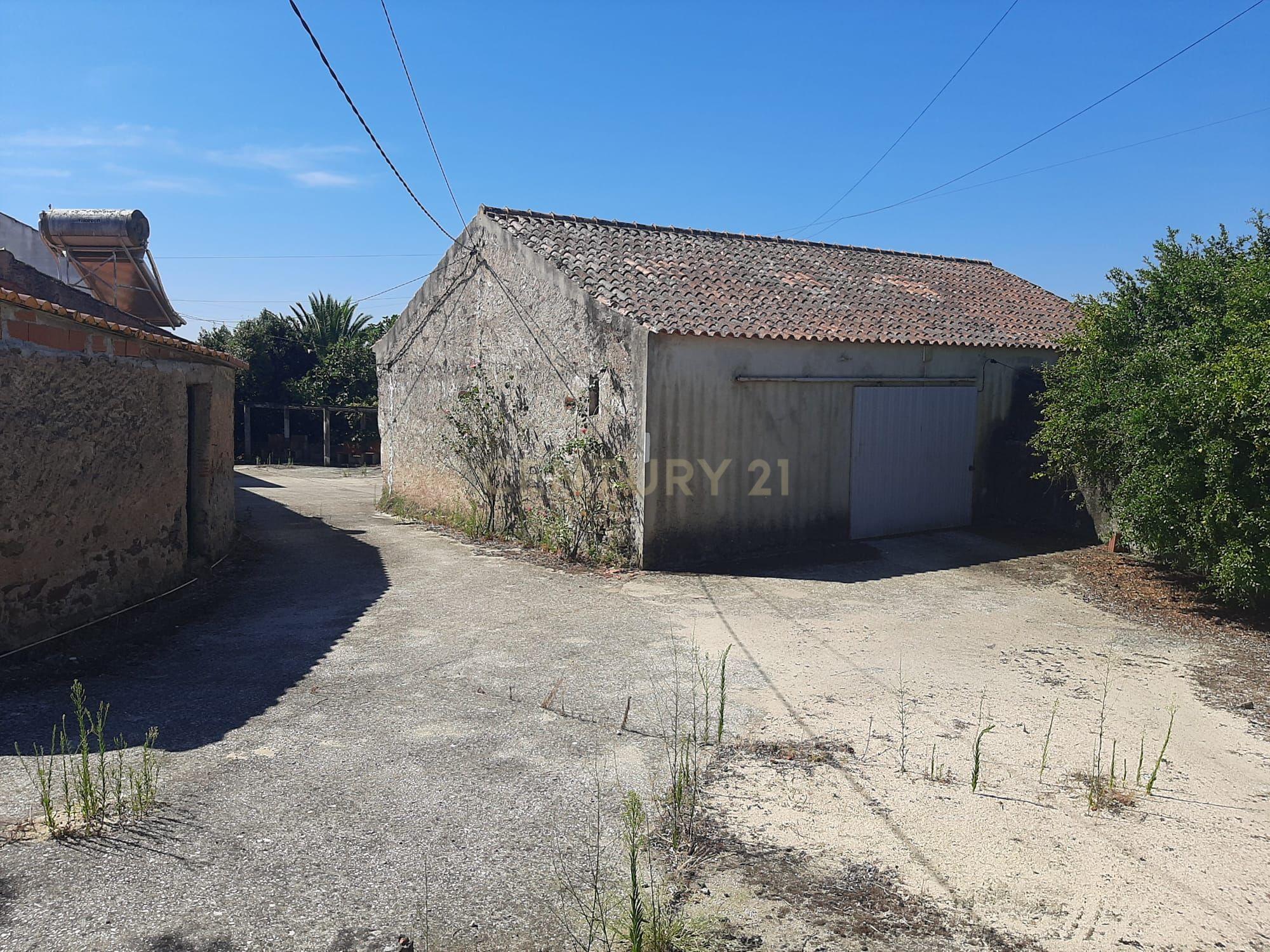 Quintinha com moradia de 10 assoalhadas e anexos, lote de 19.060m2, Mouriscas, Abrantes - Image 12