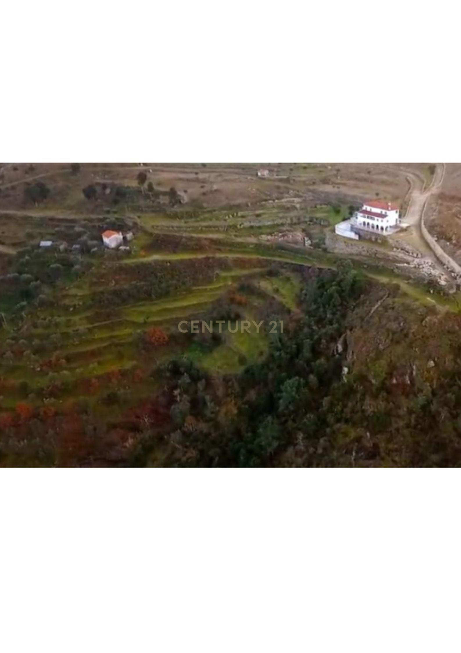 Quinta no Douro com Vistas Rio - Image 4