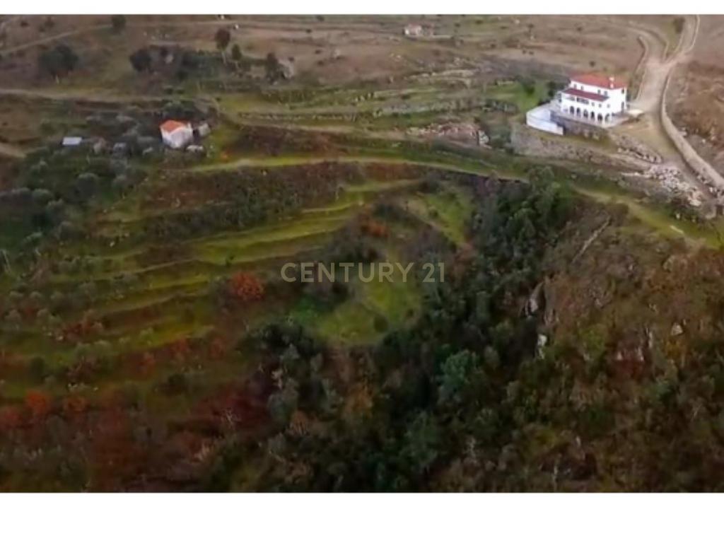 Quinta no Douro com Vistas Rio - Image 4