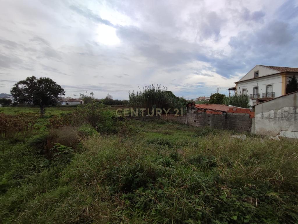 Venda | Moradia T3 para reconstrução em Casais do Campo , Coimbra - Image 3
