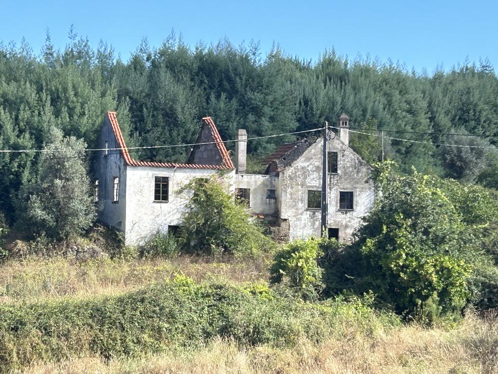 Quinta com Ruína - Oportunidade de Negócio - Image 8