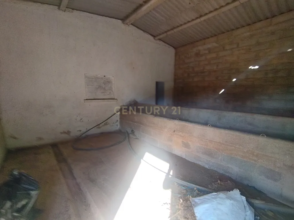 Propriedade com mais de 18 hectares de terreno rústico, localizado no Baixo Alentejo, concelho de Almodôvar - Image 4