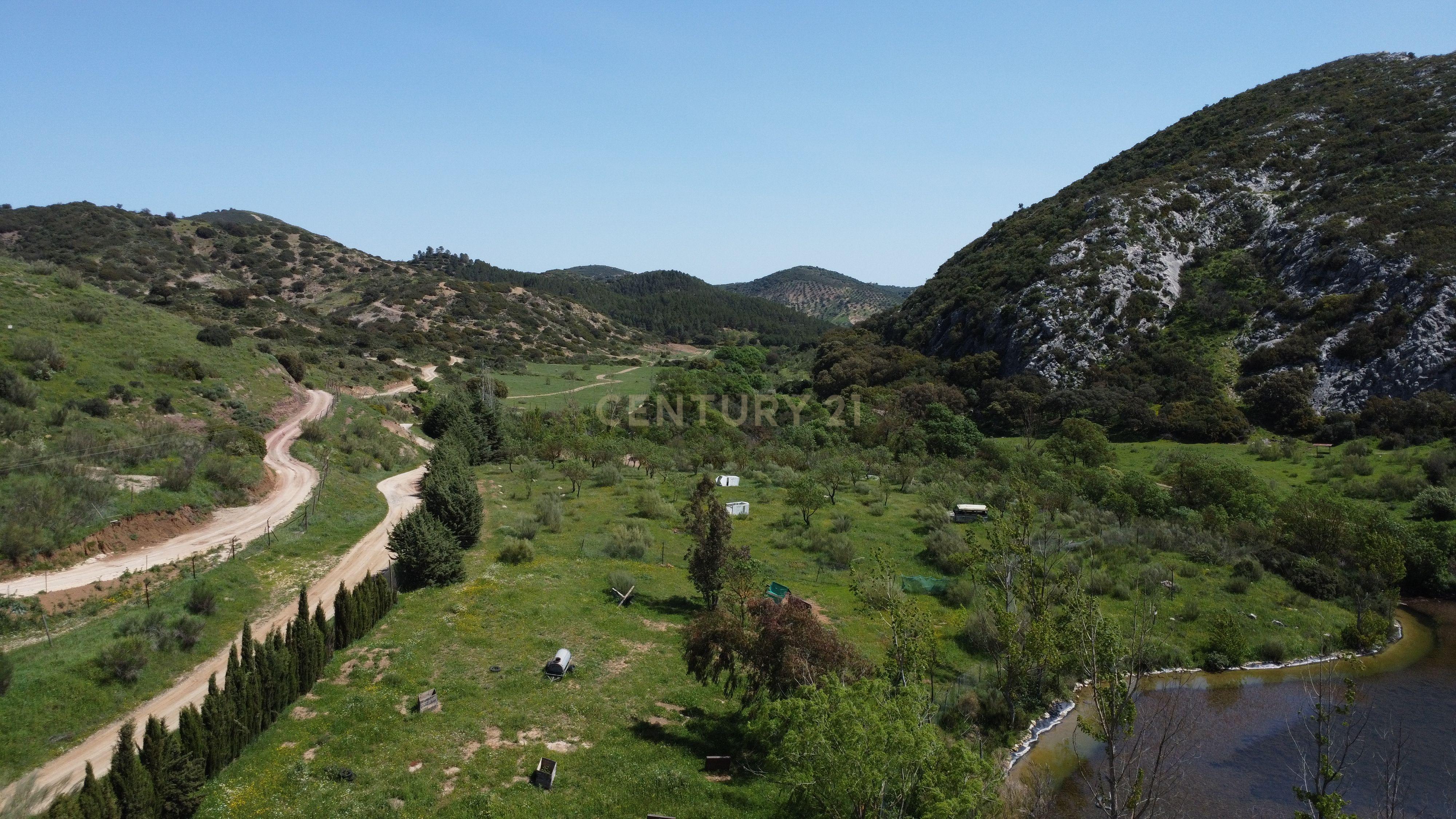 VENDA DE PROPRIEDADE RÚSTICA EM ANTEQUERA COM EXPLORAÇÃO DE AGROTURISMO - Image 21