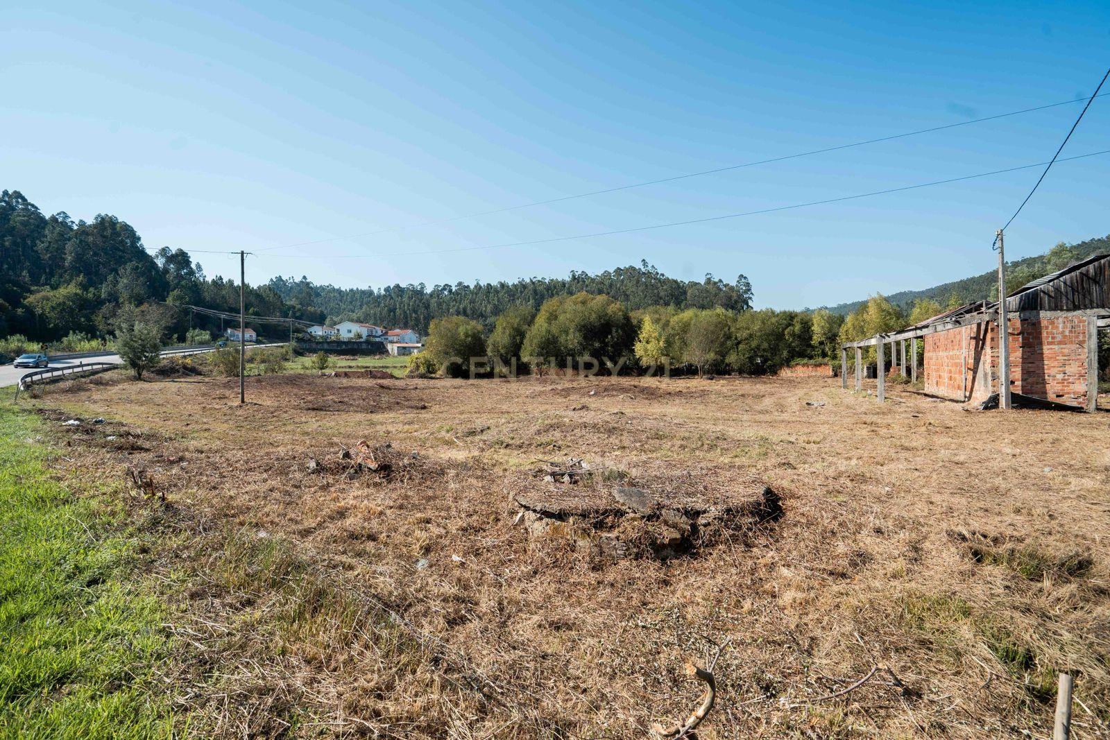 Fotografia 5 de Terreno  9.000m2 + Armazém em Miranda do Corvo, Coimbra