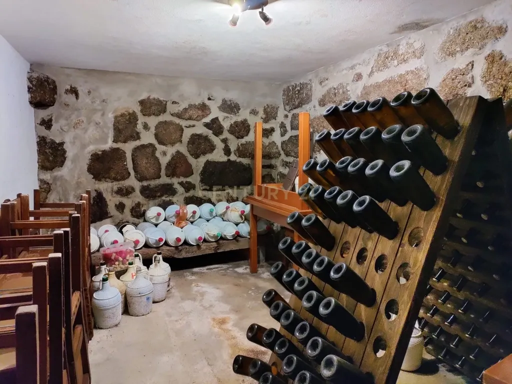 Quinta com ancestral moradia para habitação particular ou turismo de habitação em Felgueiras, Resende, Viseu - Image 48