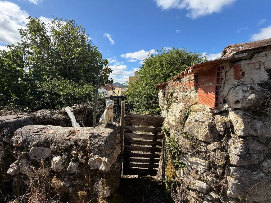 Ruina para Restaurar em Milharado, Mafra - Oportunidade Única - Image 6