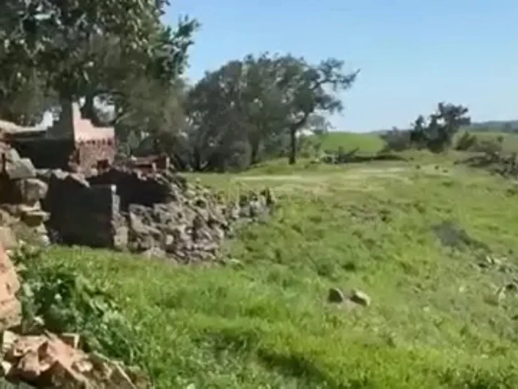 Terreno para Reconstrução, com Água, Natureza e bons acessos, em Cravais de Cima, Salir, Loulé, Algarve. - Image 7