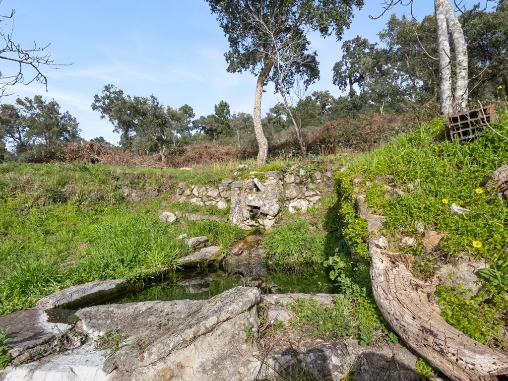 Moradia com Terreno em Portalegre - Image 20
