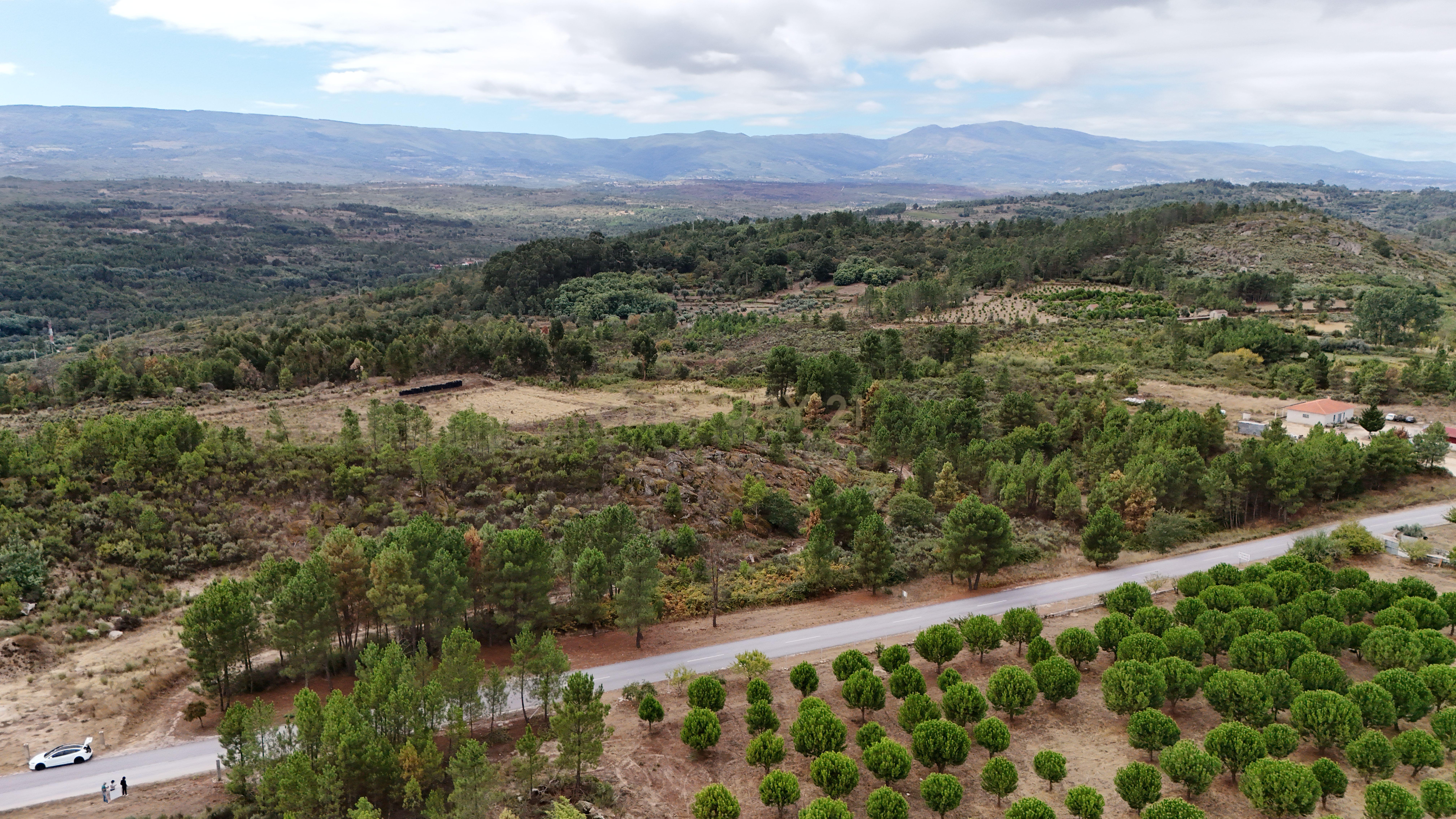 Terreno com cerca de 18.000 m² em Figueiró da Granja - Fornos de Algodres