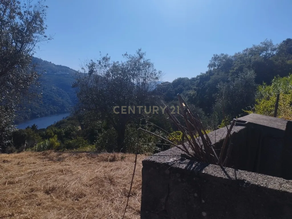 Moradia em ruina repleta de belas histórias, para reconstruir, no coração do Douro em Frende, Baião - Image 29