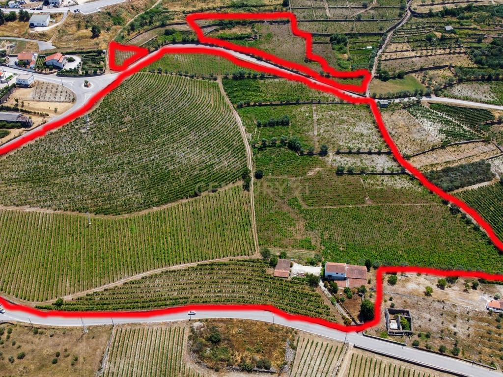 Quinta Encantadora T4 em Tabuaço, Viseu - Image 11