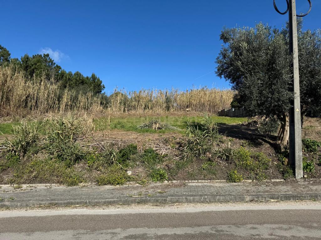 Terreno Panorâmico em Pombal - 1020m² por 34.500€ - Image 7