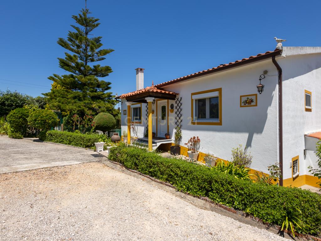 Quinta de 1ha vedada com piscina, jacuzzi, pomar e vista panorâmica em Olalhas, Tomar - Image 4