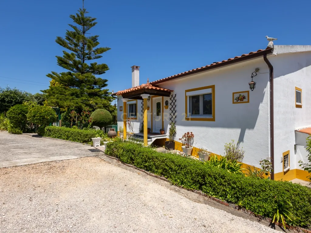 Quinta de 1ha vedada com piscina, jacuzzi, pomar e vista panorâmica em Olalhas, Tomar - Image 4