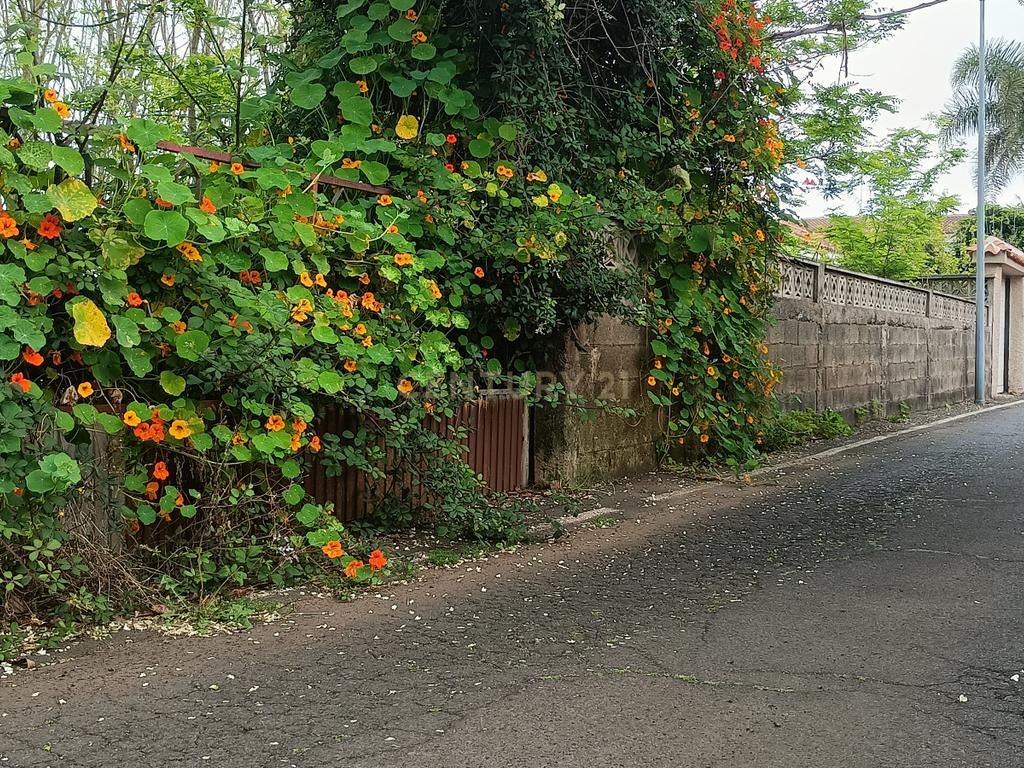 Terreno para construção em Guamasa - Image 16