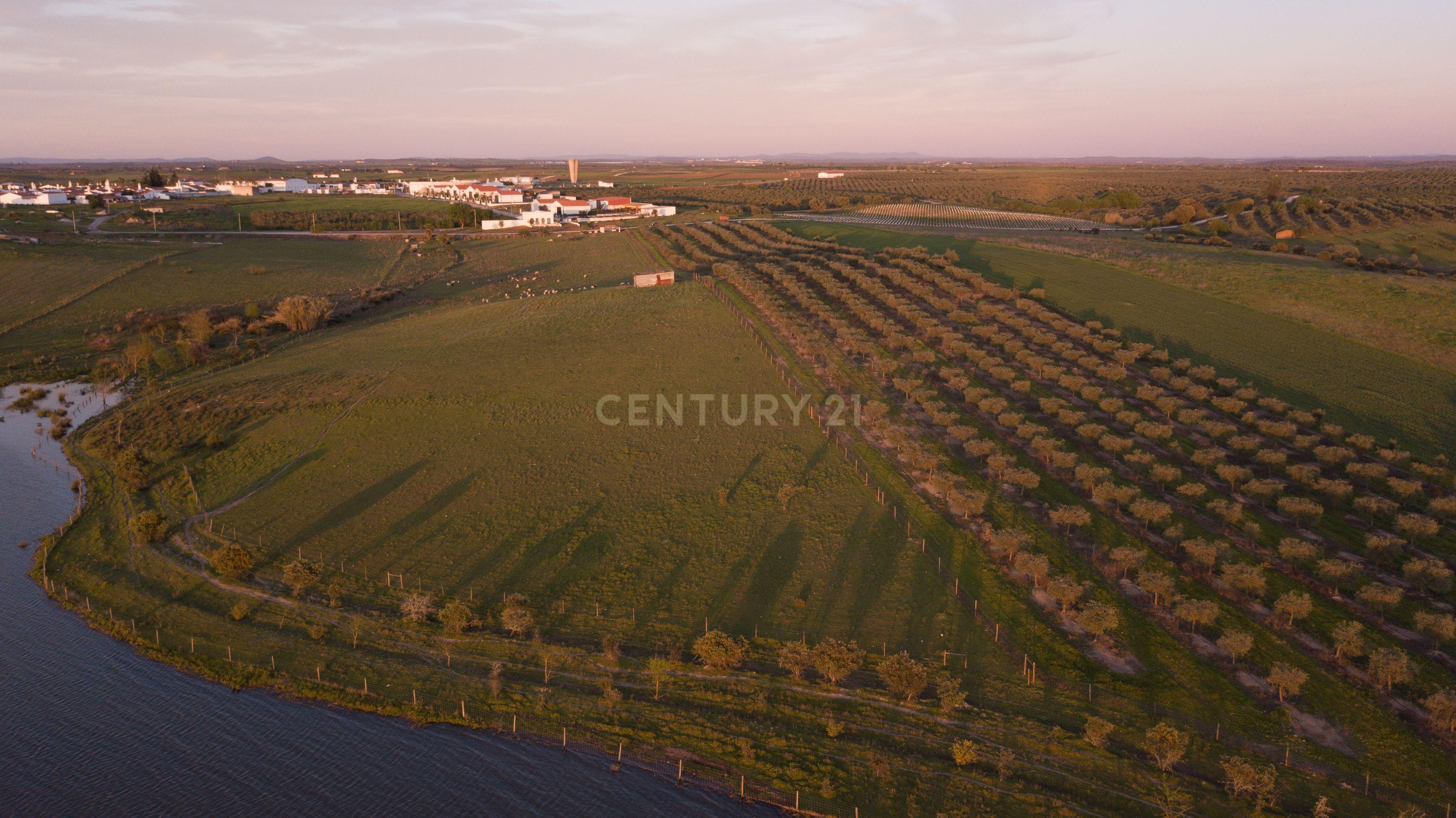 Fotografia 8 de Terreno Rústico com Vista Privilegiada para o Alqueva - Luz, Alentejo