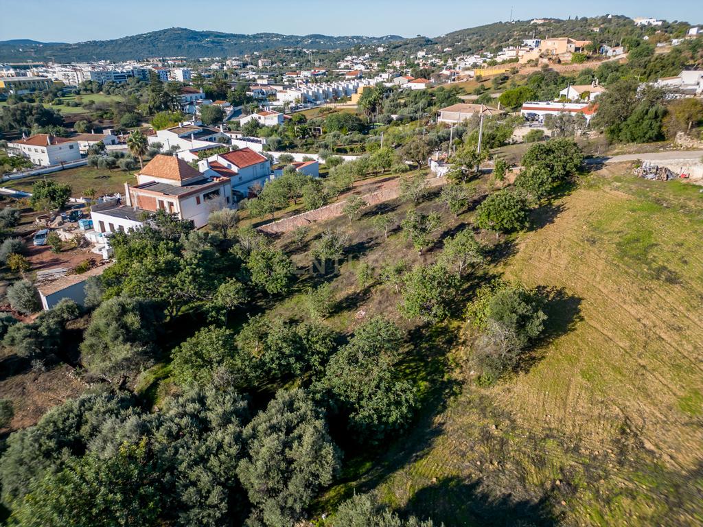 Terreno para construção na Campina – São Brás de Alportel - Image 10
