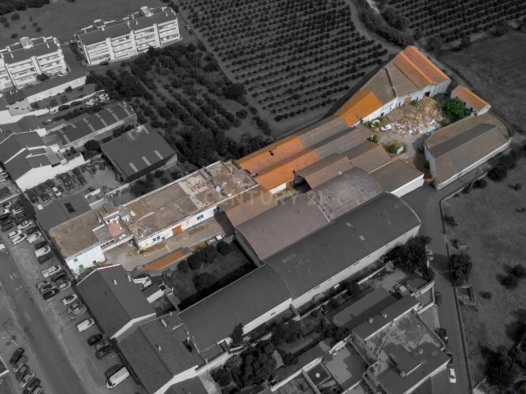 Terreno Urbano com 7.780m2 I Armazéns e Habitação I São Bartolomeu de Messines - Image 6