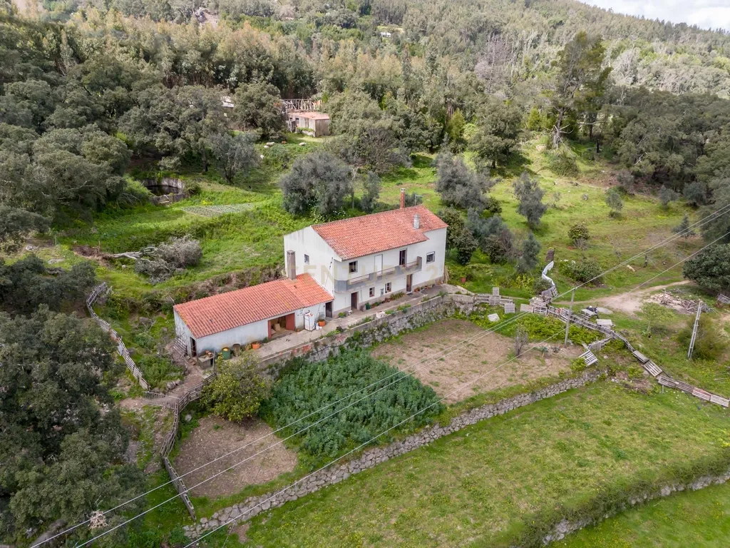 QUINTA COM 2,5 HECTARES EM ZONA CENTRAL DE MONCHIQUE - Image 39