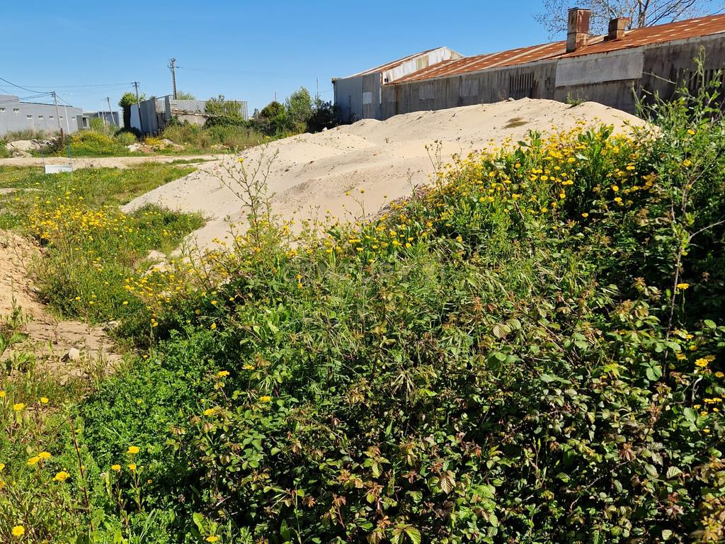 Terreno Rústico em Espinho - Oportunidade Única por 125.000€ - Image 7