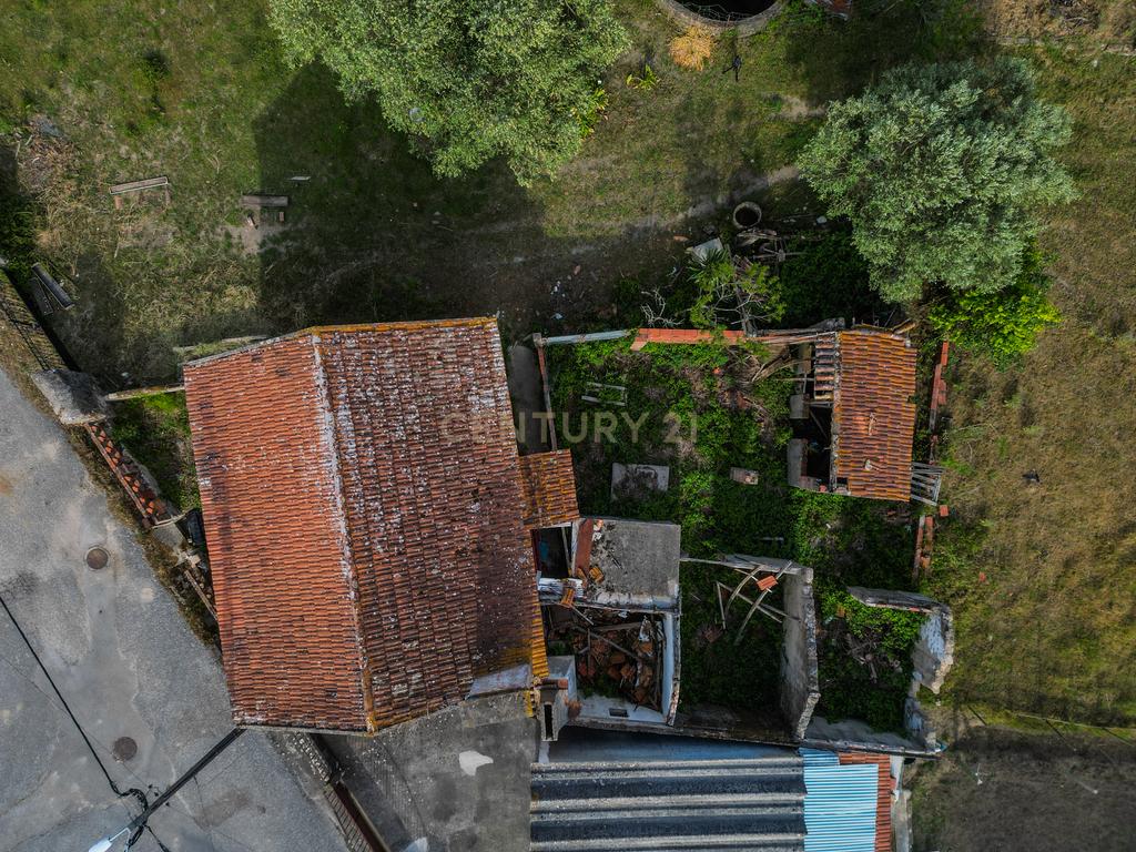 Moradia para Reabilitar com Terreno de 2.590m² em Gatões – Montemor-o-Velho - Image 7