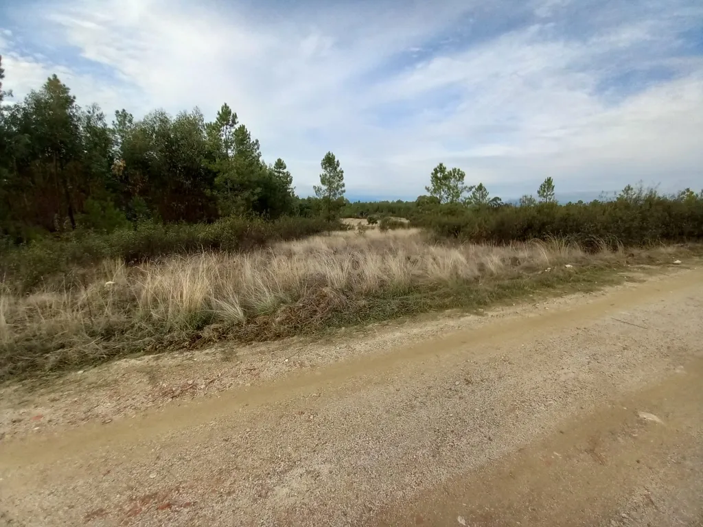 Terreno com Vista Panorâmica em Benquerenças, Castelo Branco - Image 11