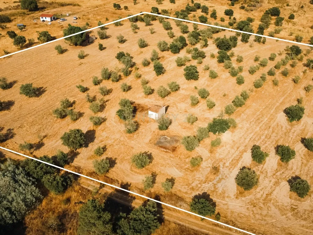 Propriedade rústica com potencial agrícola, habitacional e turístico – 3,12 hectares – Nisa - Image 9