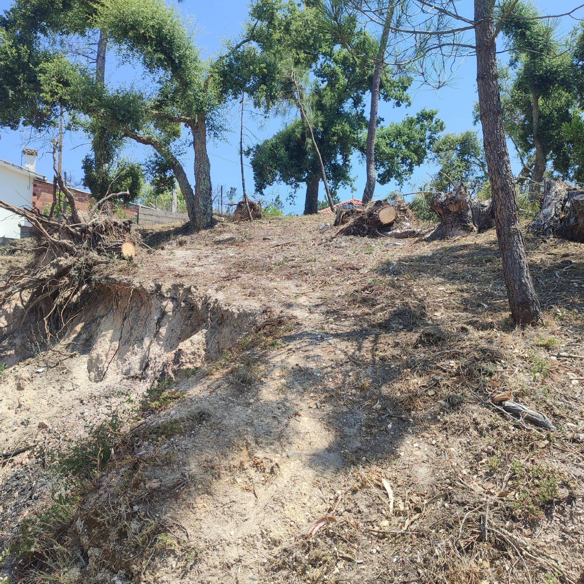 Fotografia 9 de Moradia com terreno em Serra de Baixo, Sabacheira em Tomar