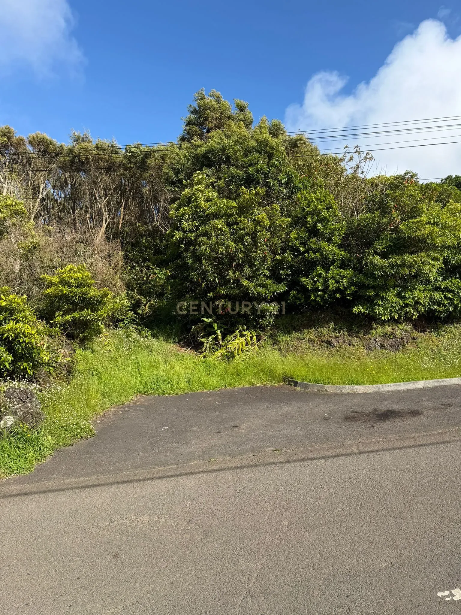 Fotografia 6 de Oportunidade Única em Santa Cruz da Graciosa por 25.000€