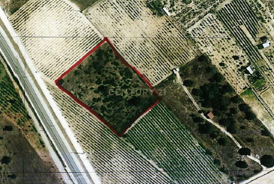 Terreno Rústico em Palmela, com Água e Eletricidade - 6000m² - Image 6