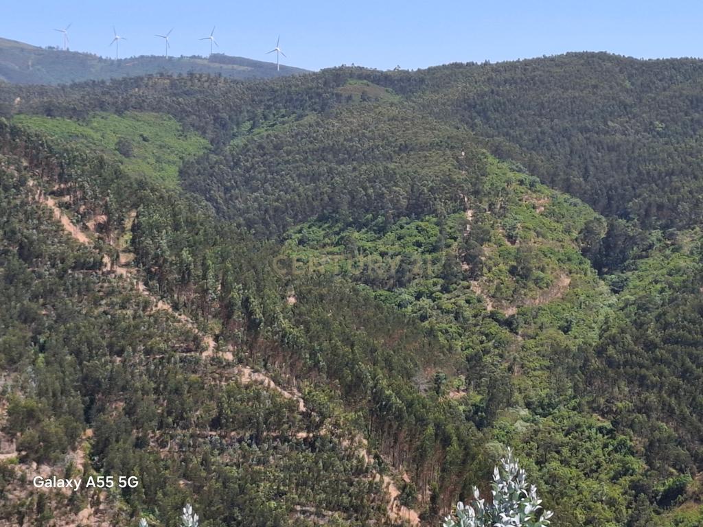 Terreno com construção rural - Marmelete. - Image 3