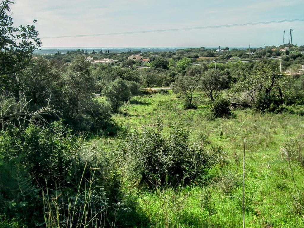 Terreno Rústico em Faro com Vista Panorâmica e Acesso Fácil - Image 22