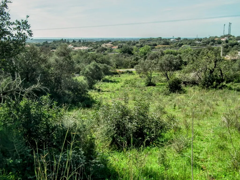 Terreno Rústico em Faro com Vista Panorâmica e Acesso Fácil - Image 22