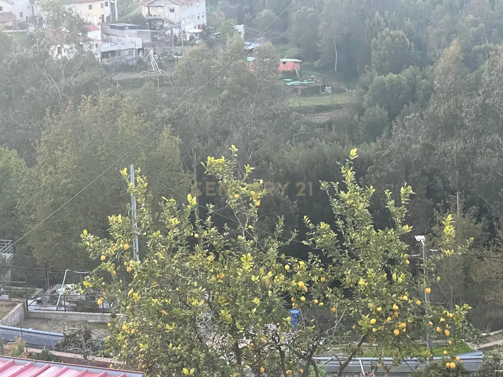 Terreno Rustico em Crestuma, Vila Nova de Gaia - Image 7