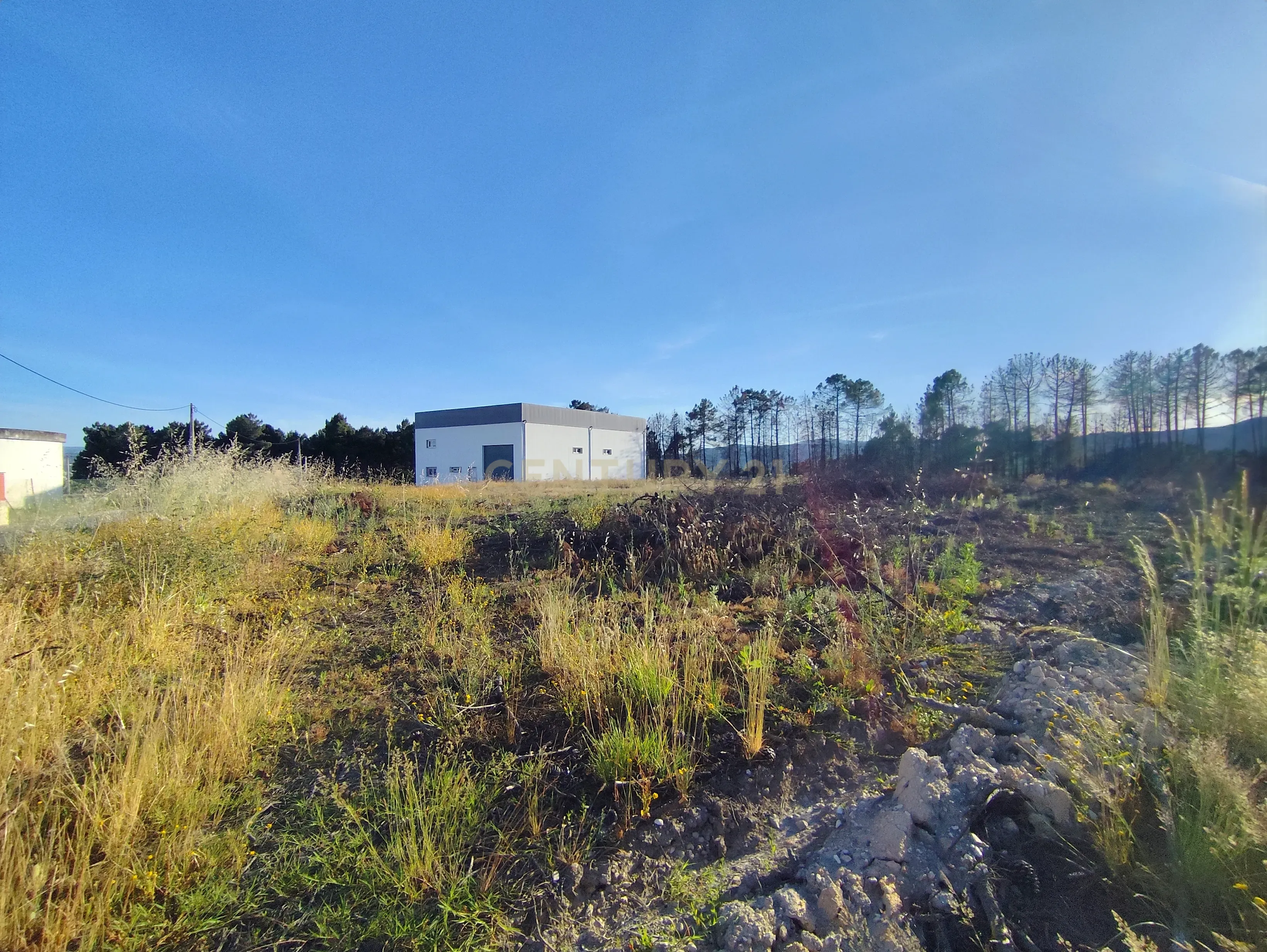 Fotografia 12 de Terreno Rústico com Excelente Localização em Chaves | 4.812 m²