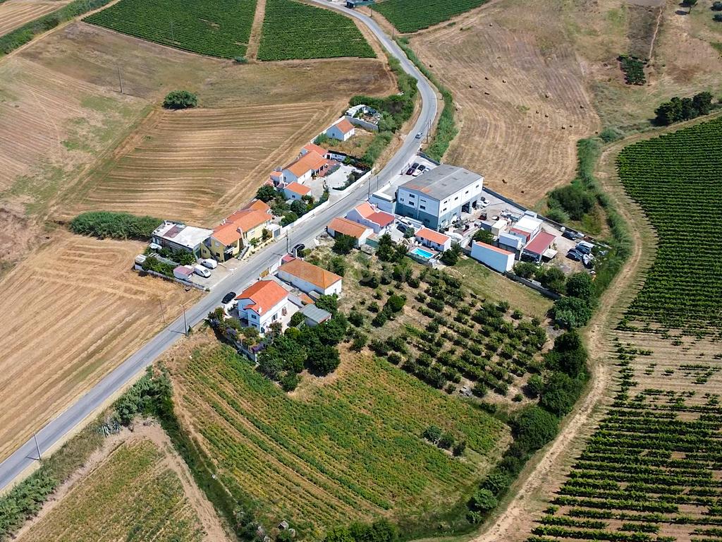 Pequena Quinta em Bonabal – Ventosa, Torres Vedras - Image 6