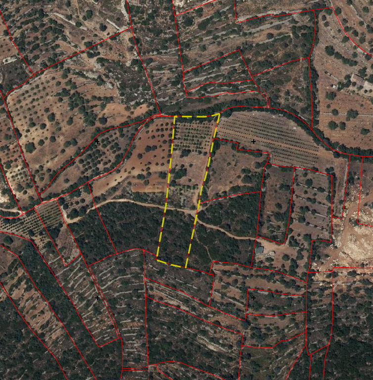 230.000€ Conjunto de 3 terrenos rústicos - Barranco de S. Miguel - Image 6