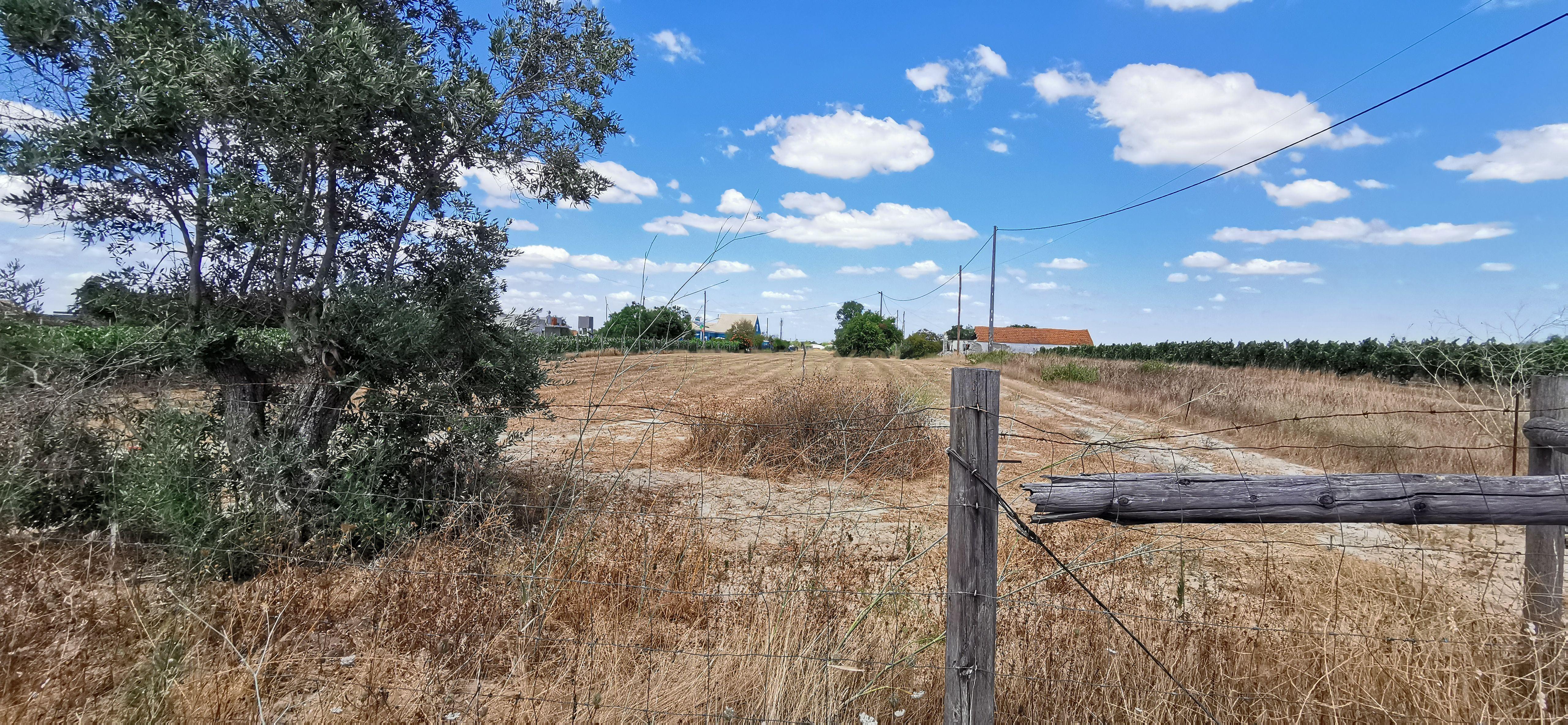 Fotografia 7 de Terreno com projeto aprovado em Palmela com Vista Panorâmica - Lau