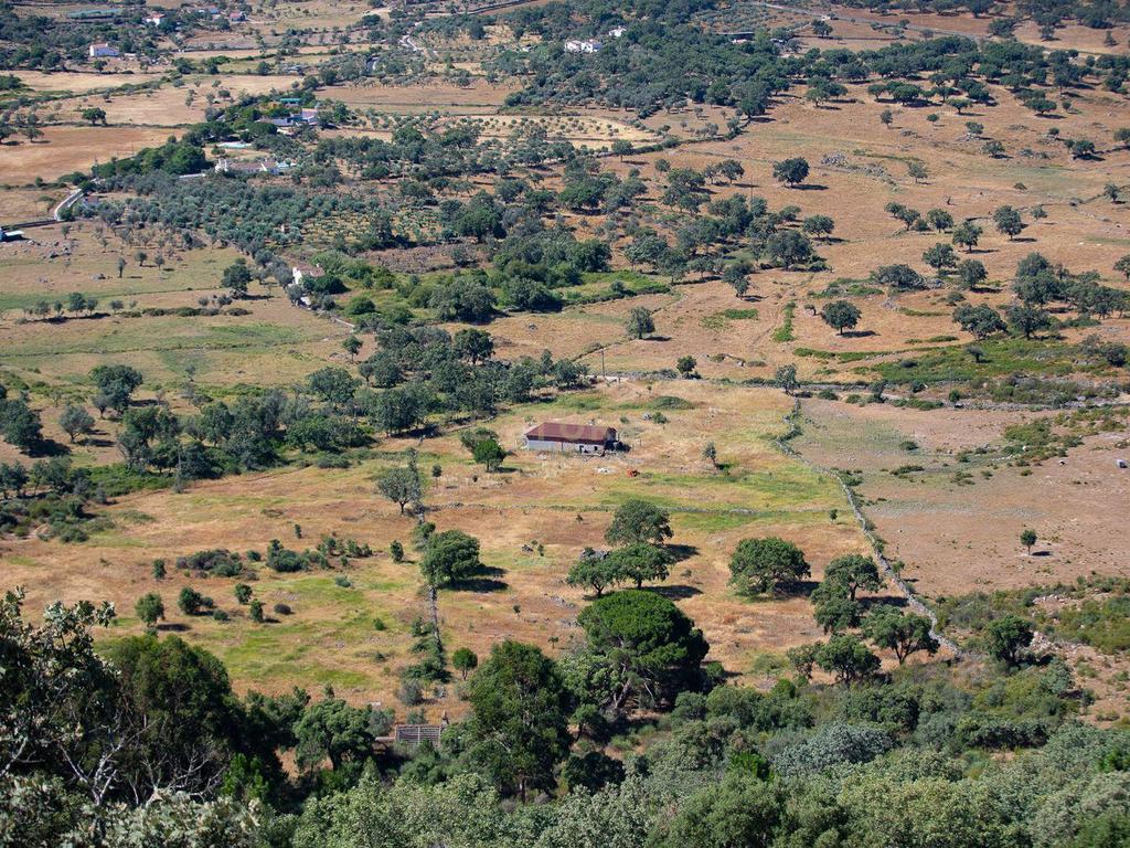 Quinta com 2,5 hectares em Portalegre - Image 5