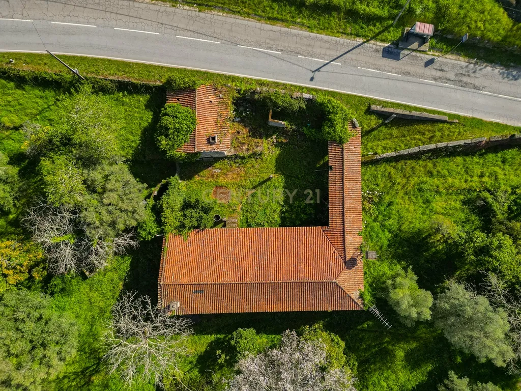 🌿 Quinta Rústica com 15.075 m² | Para Recuperar | Póvoa de Lanhoso, Braga - Image 30