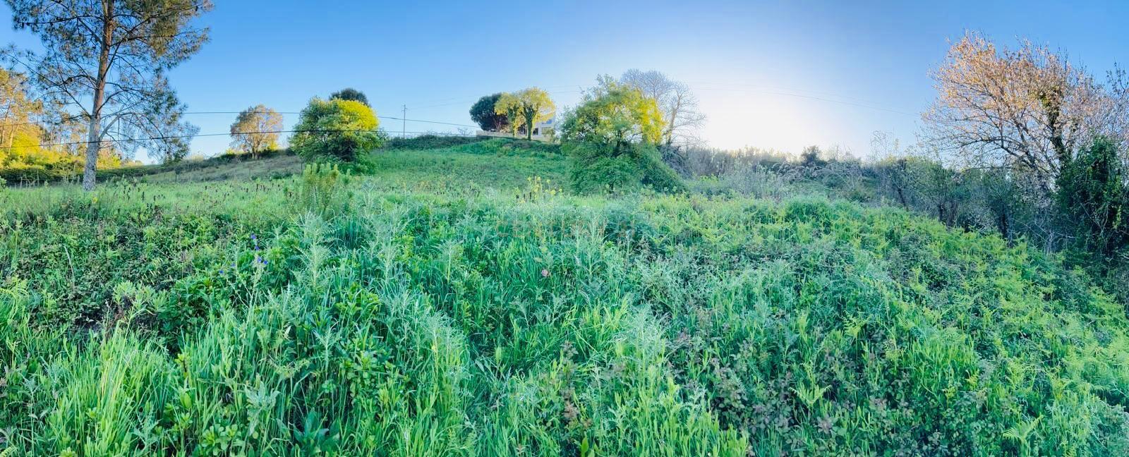 Fotografia 4 de Terreno para construção no Vimeiro