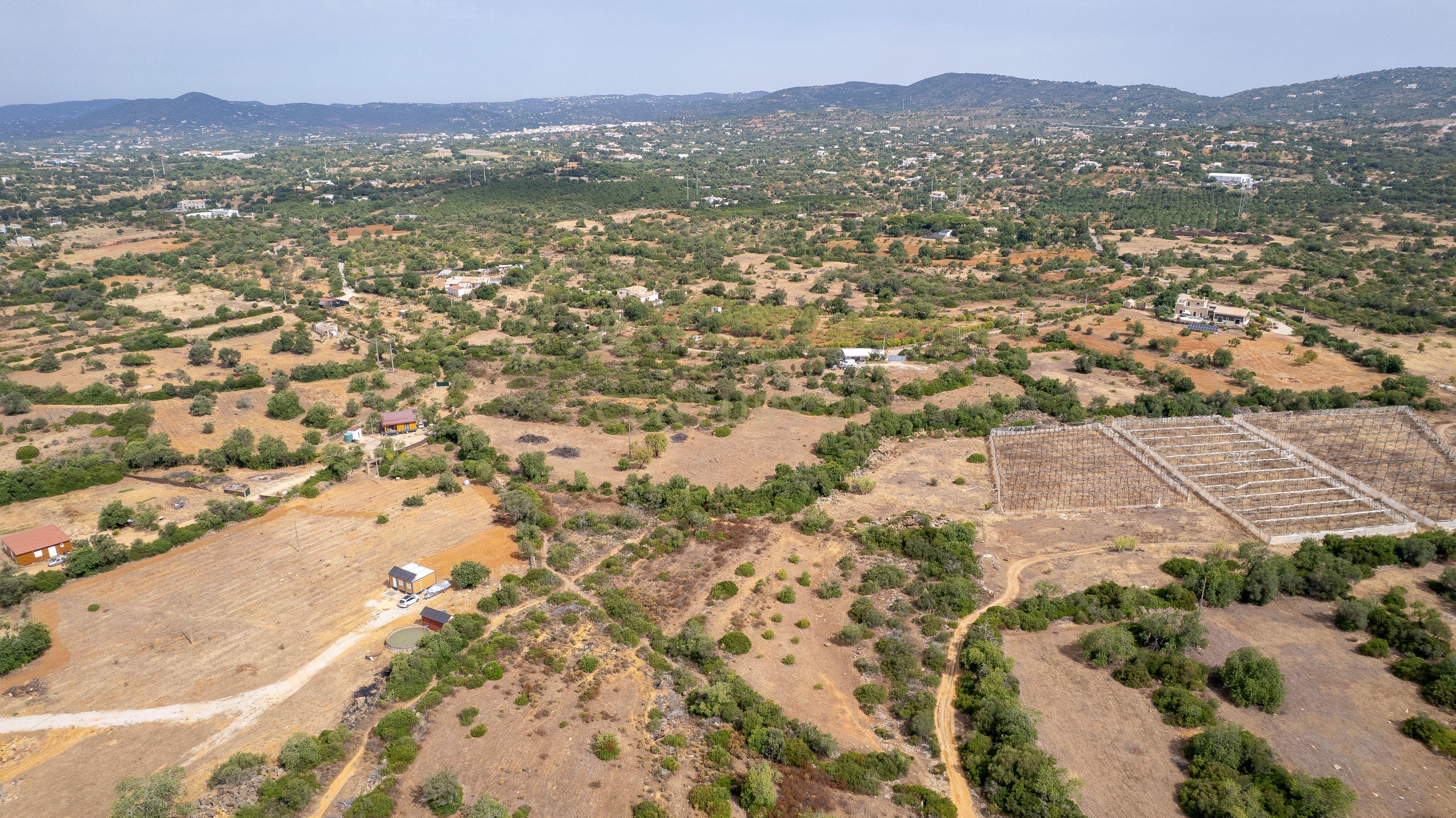 Fotografia 8 de Terreno Rústico de 3.650 m² entre Pechão e Estoi