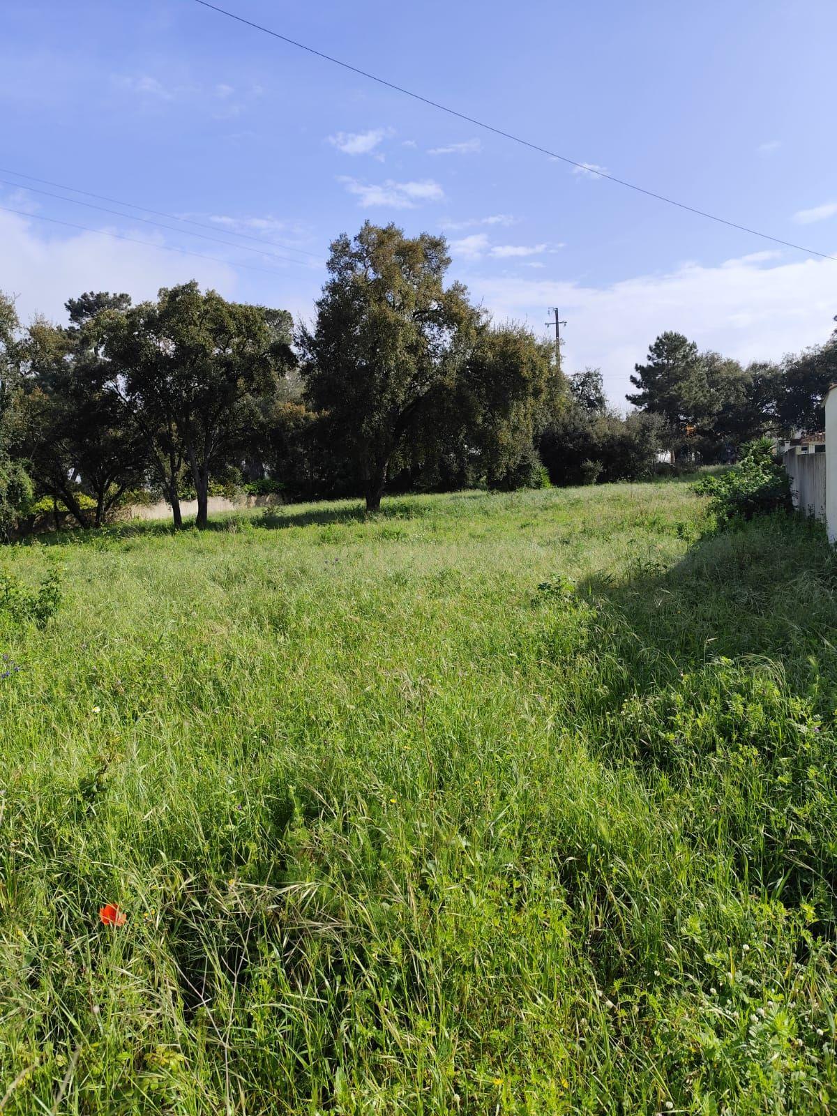 Terreno de 1110m2 Urbano, Oportunidade única  - Image 2