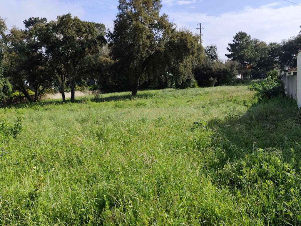 Terreno de 1110m2 Urbano, Oportunidade única  - Image 2