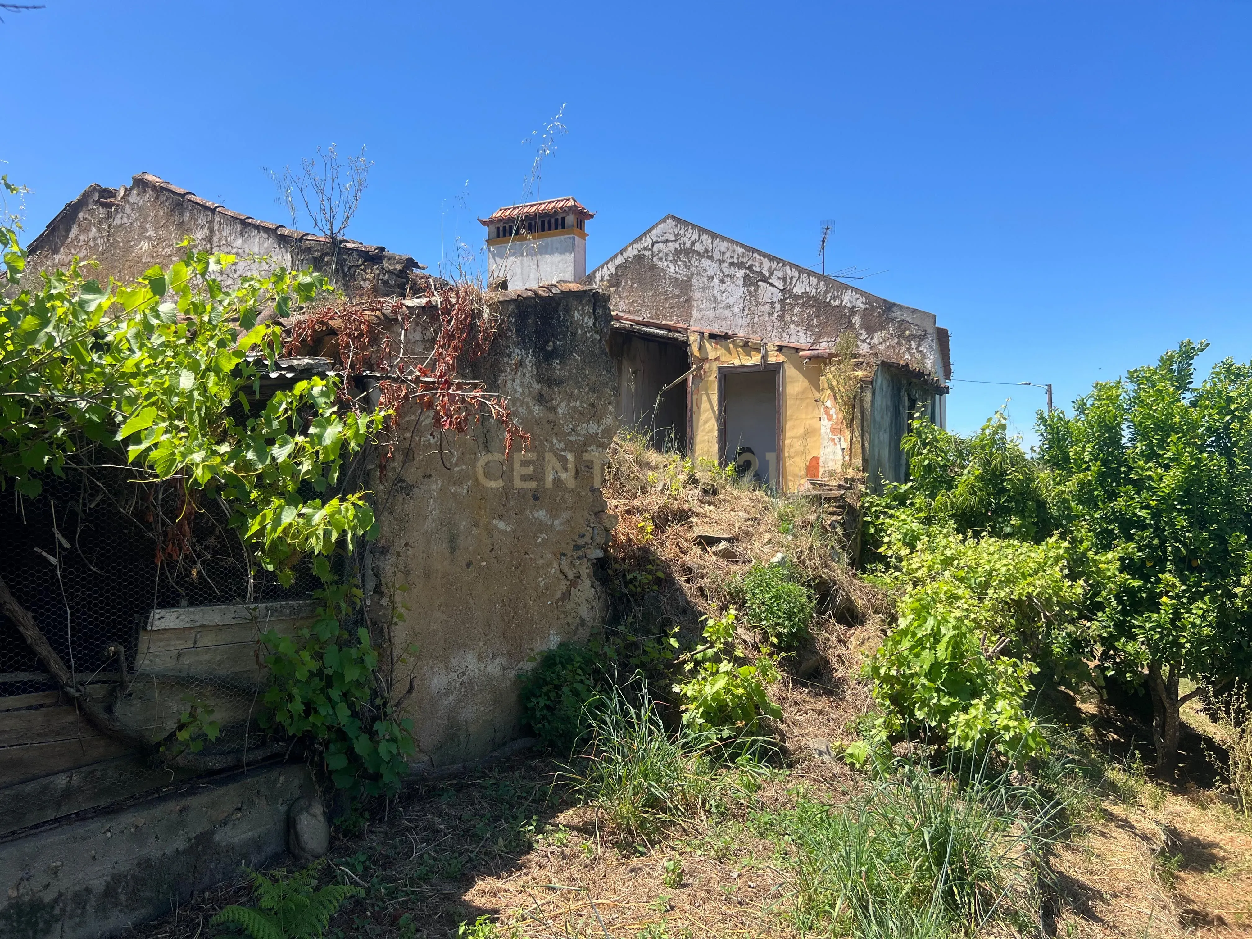 Casa para reconstrução total a 10 min da Praia Fluvial de Aldeia do Mato Abrantes - Image 25
