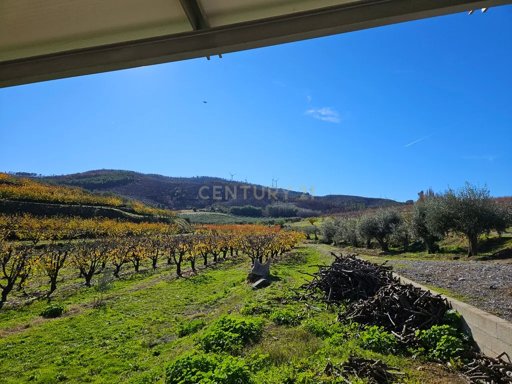 Quinta de Excelência Agrícola na Região Premium do Fundão: 32 ha de Alta Produtividade - Image 22