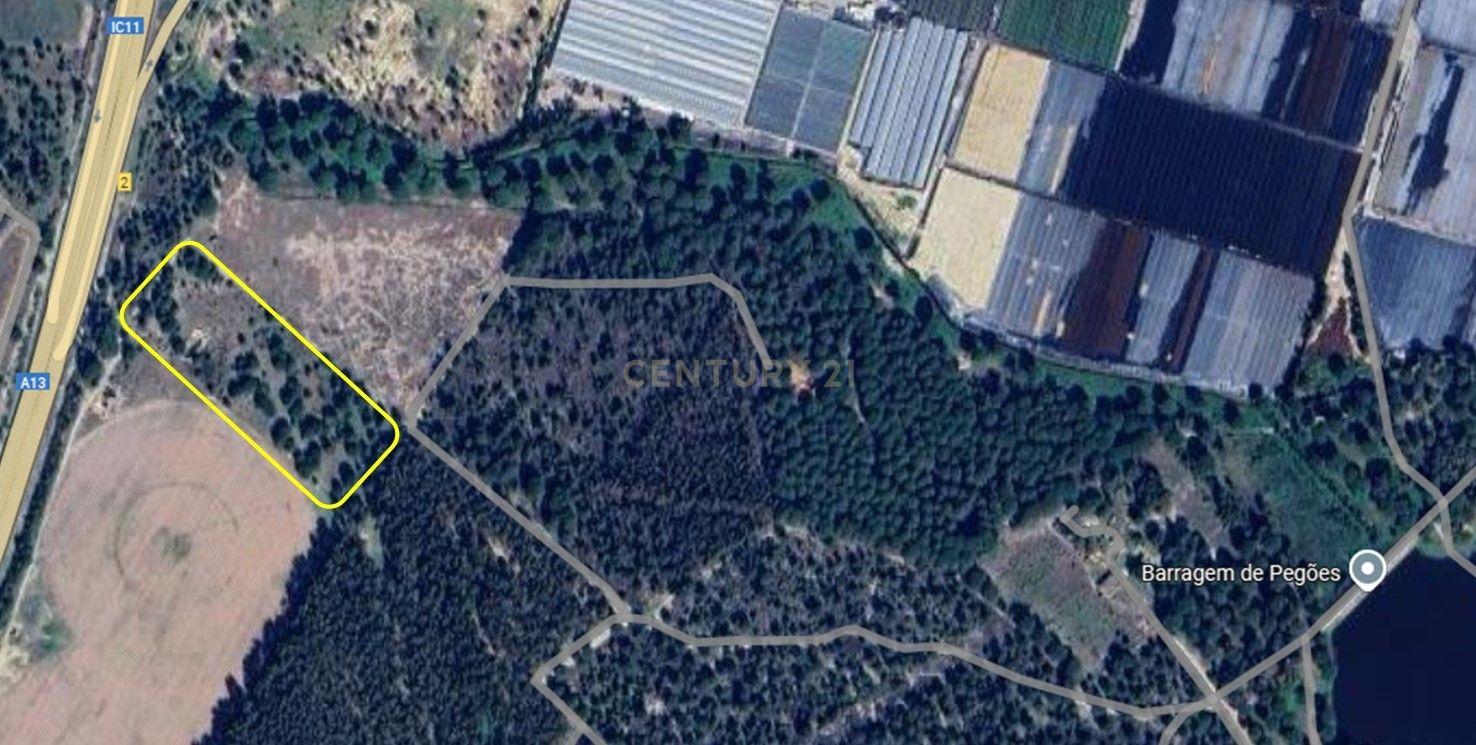 Terreno Rústico c/ 22.500m2 - Sto Isidro de Pegões - Montijo - Image 12