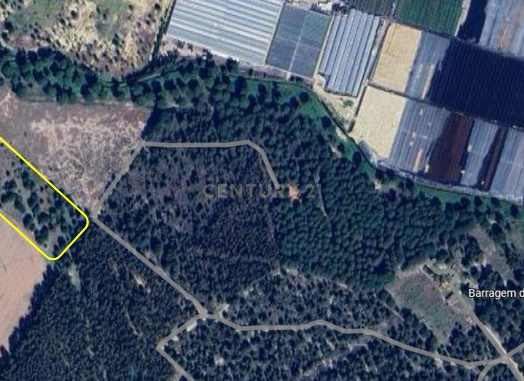 Terreno Rústico c/ 22.500m2 - Sto Isidro de Pegões - Montijo - Image 12