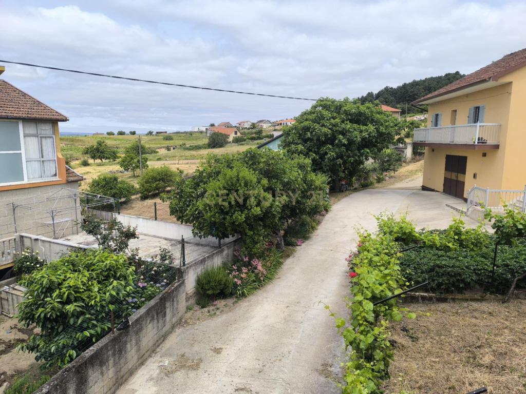 Casas prontas a habitar com terreno, arvores de fruto, forno e água própria. - Image 9