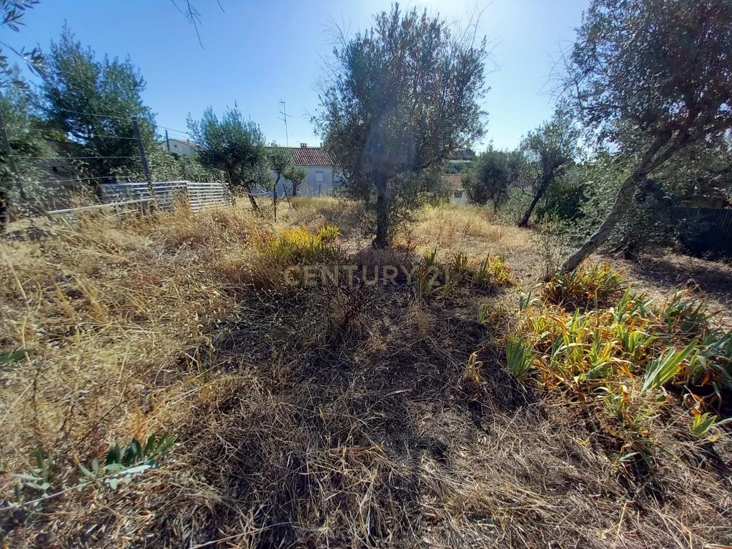 Terreno com 1100m2, Sobral do Campo - Image 1